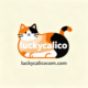luckycalicocom.com favicon